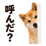 860991733