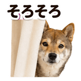 860991737