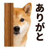 860991739