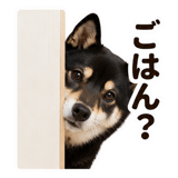 860991759