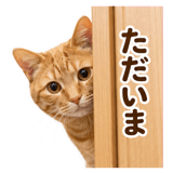 860991822