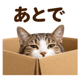 860991824
