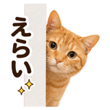 860991847