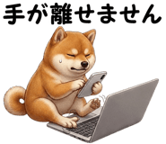 860992971