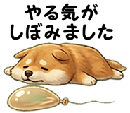 860992984