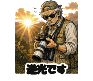 860994253
