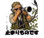 860994259