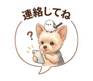 860994504