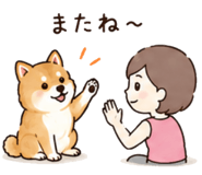 860994982