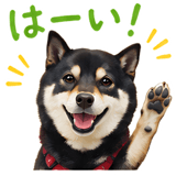 860997370