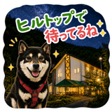860997376