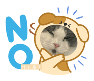860997946