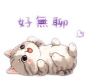 860998404