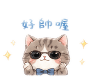 860998411