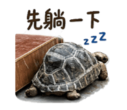 860999650