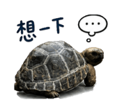 860999655