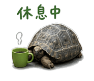 860999661