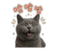 861001223