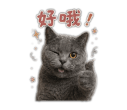 861001224