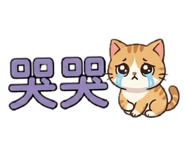 861002068