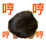 861004040