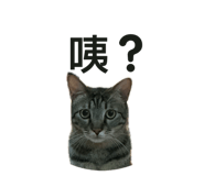 861004099