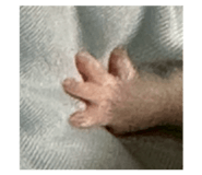 861004465