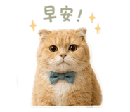 861004910