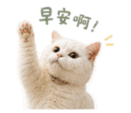 861004918