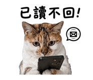 861005308