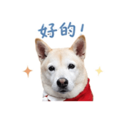 861006338