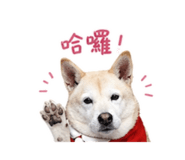 861006340
