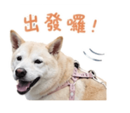 861006345