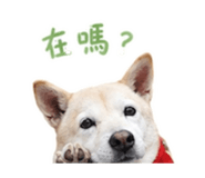 861006347