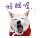 861006350