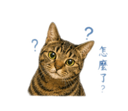 861006543