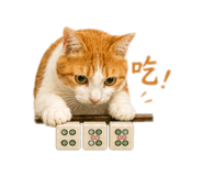 861006547