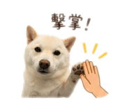 861007704