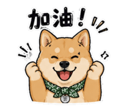 861008226