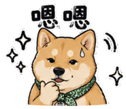 861008236