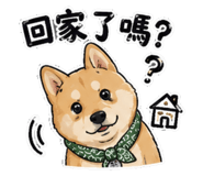 861008238