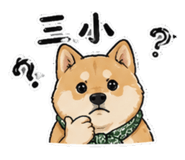 861008241