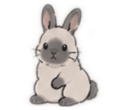 861008962