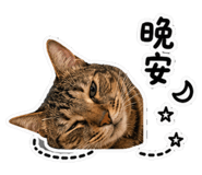 861009904