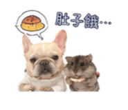 861010402