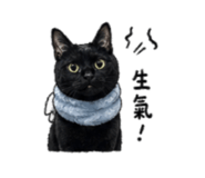 861010572