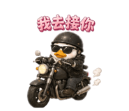 861012231