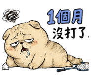 861012548