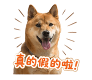 861013416