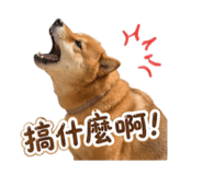 861013418
